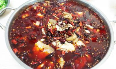 成都餐饮橘子视频破解版下载，成都哪里学习正宗鱼火锅技术？
